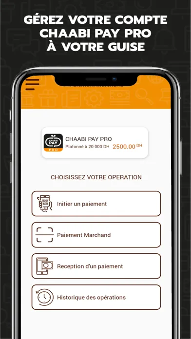 Tangkapan skrin CHAABI PAY PRO