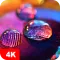 Macro Wallpapers 4K