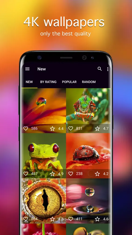 Ảnh chụp màn hình của Macro Wallpapers 4K