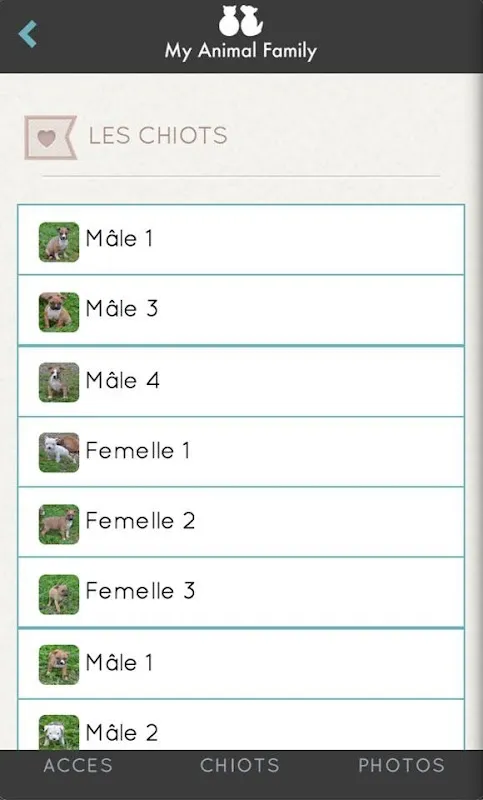 My Animal Family স্ক্রিনশট