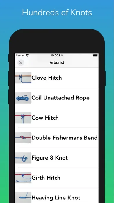 Ảnh chụp màn hình của Knots and Nodes