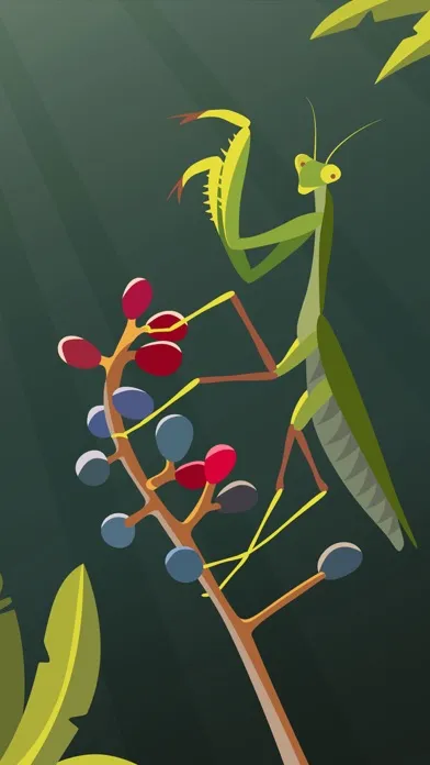 Oil Painting - Paint by Number Screenshots