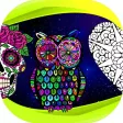 Mandalas Book Multi Paint
