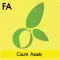 Count Asset