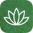 Seeds - feed your brain