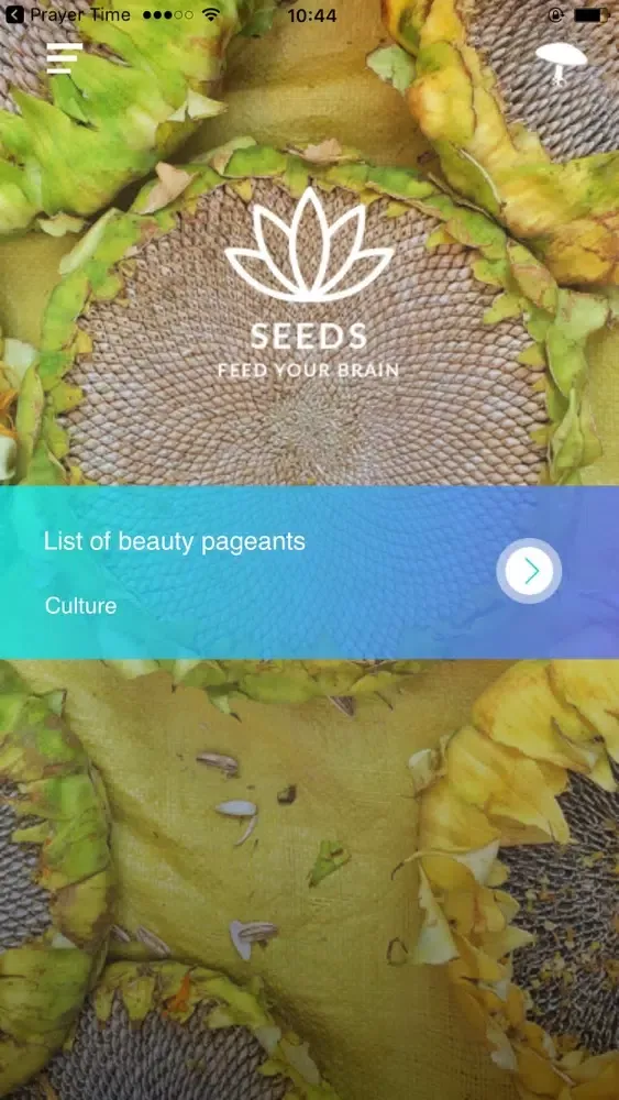 Zrzuty ekranu Seeds - feed your brain