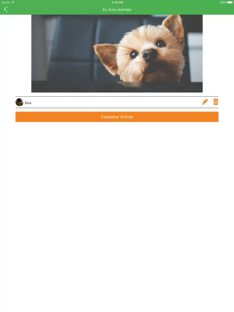 تصاویر Eu Amo Animais iPad 