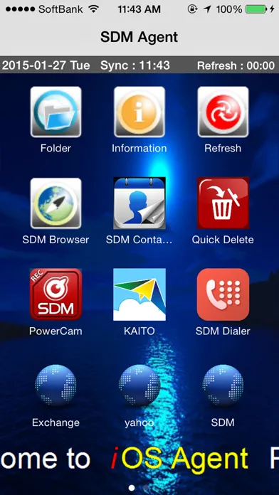 Скриншоты SDM Agent