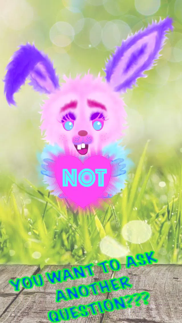 صور THE MAGIC BUNNY