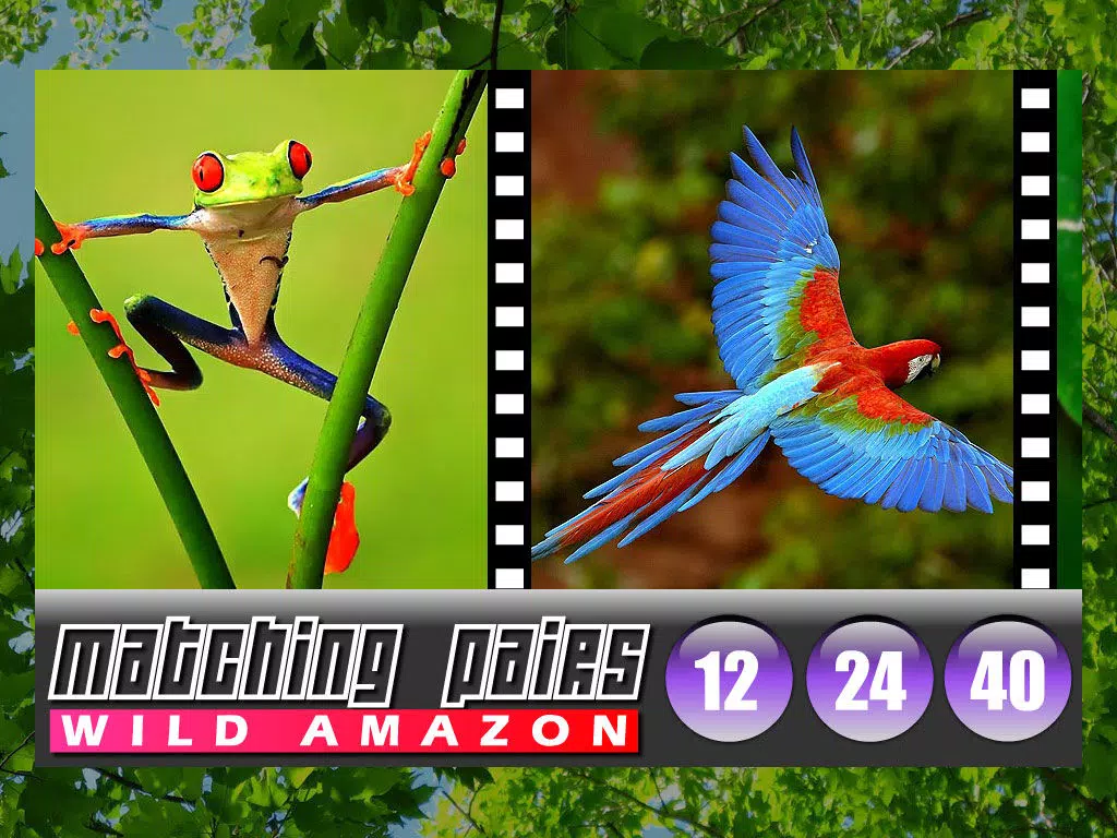 ภาพหน้าจอของ Matching Pairs (Amazon Tropical Rainforest) iPad 