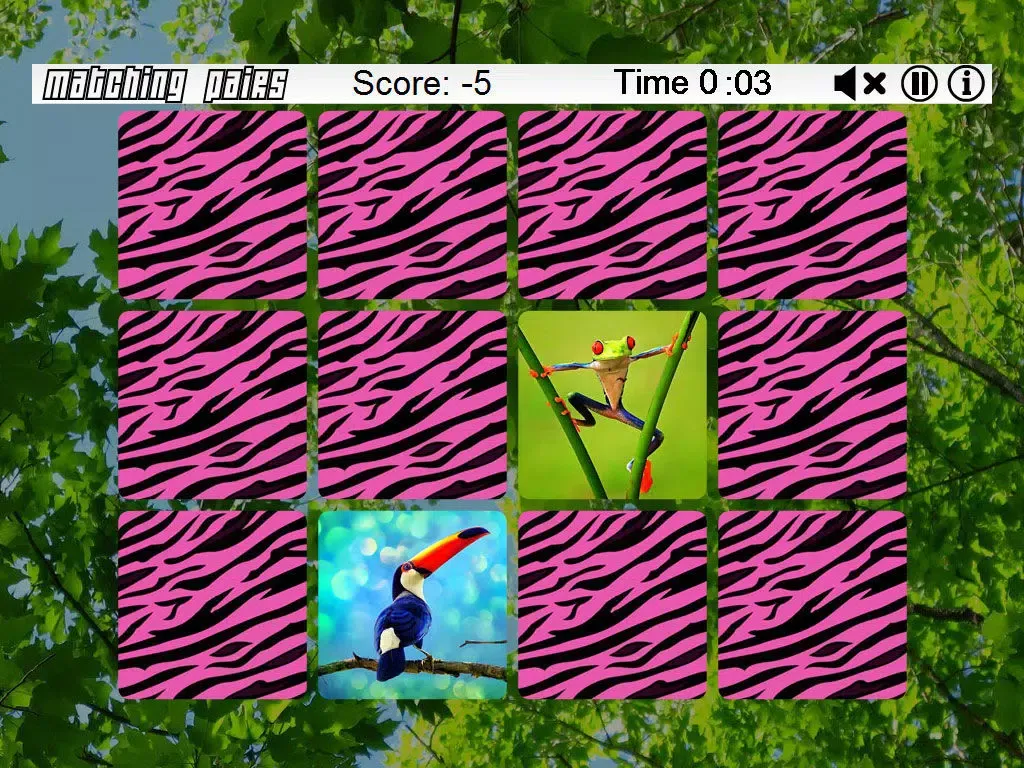 Matching Pairs (Amazon Tropical Rainforest) iPad 应用截图