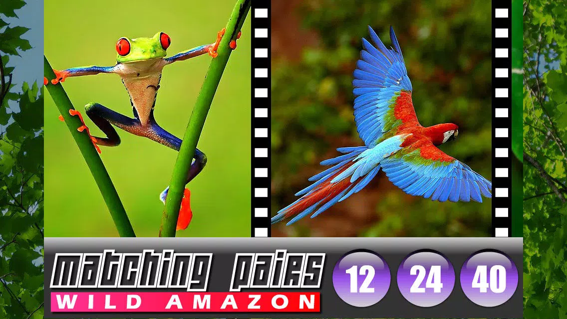 ภาพหน้าจอของ Matching Pairs (Amazon Tropical Rainforest)