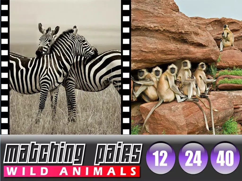 Matching Pairs Animals iPad  स्क्रीनशॉट