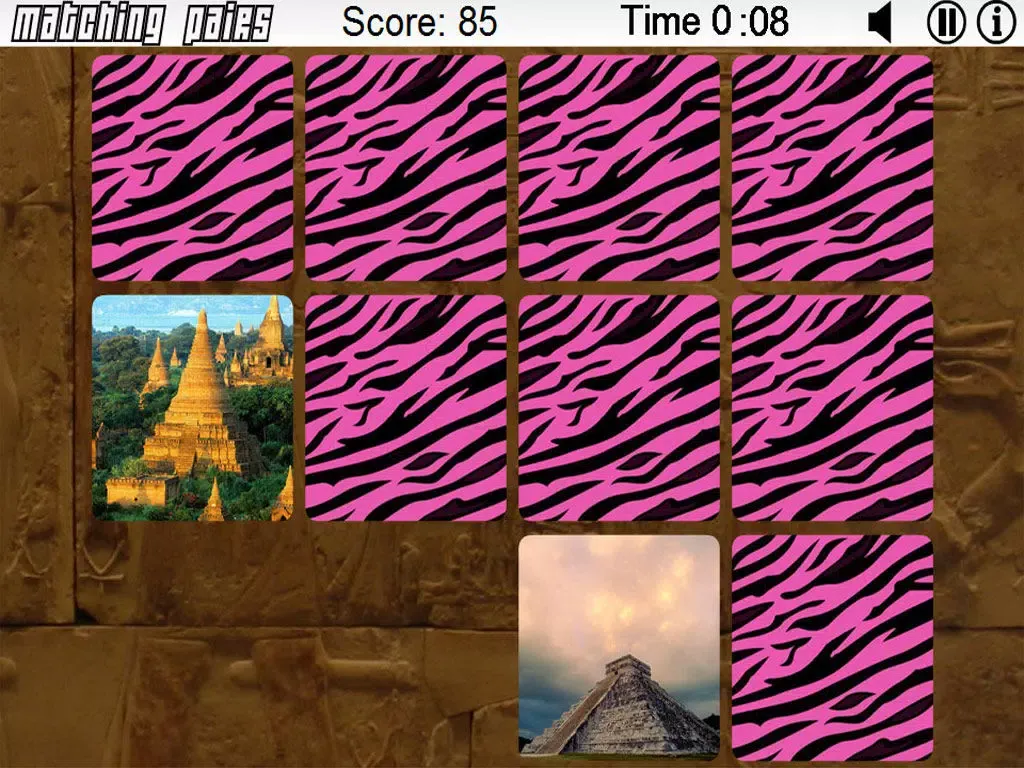Matching Pairs 100 Wonders iPad  স্ক্রিনশট