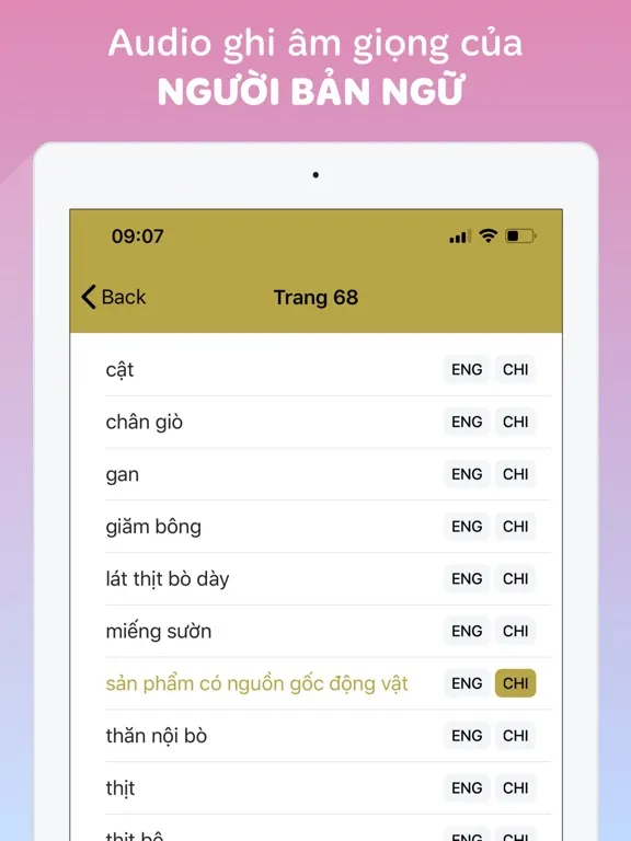 Vietnamese-English-Chinese iPad 應用截圖