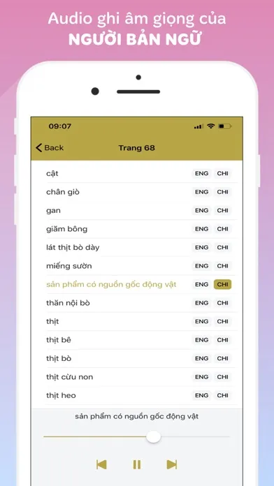 Vietnamese-English-Chinese應用截圖