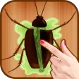 Cockroach Smasher Game