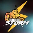 BeeStorm BeeStorm