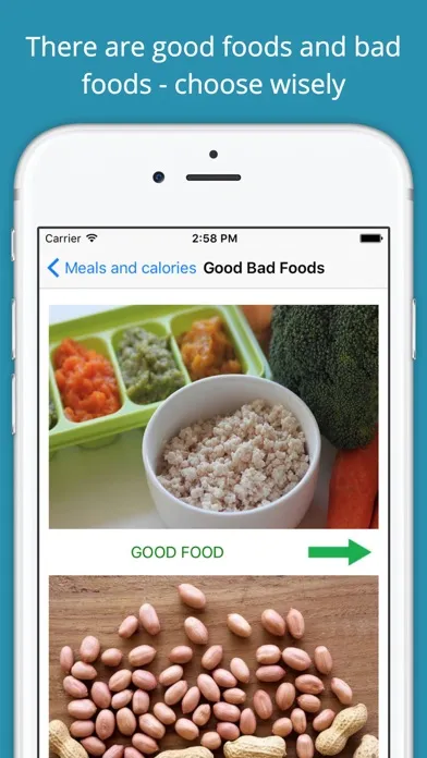 Tangkapan skrin Healthy Nutrition Guide Babies