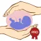 Healthy Nutrition Pregnancy Pro