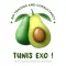 Tunis Exo