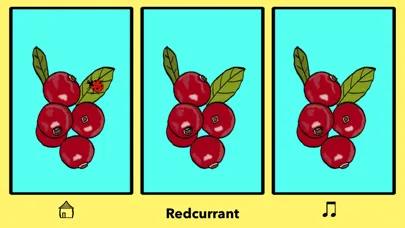The Garden Seasons应用截图