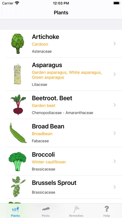 Urgency Vegetable Garden應用截圖