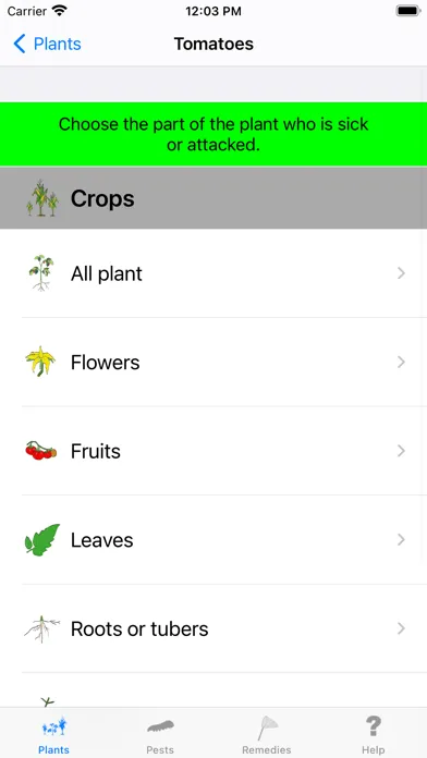 Urgency Vegetable Garden應用截圖