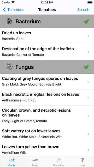 Urgency Vegetable Garden應用截圖