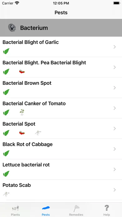 Urgency Vegetable Garden應用截圖