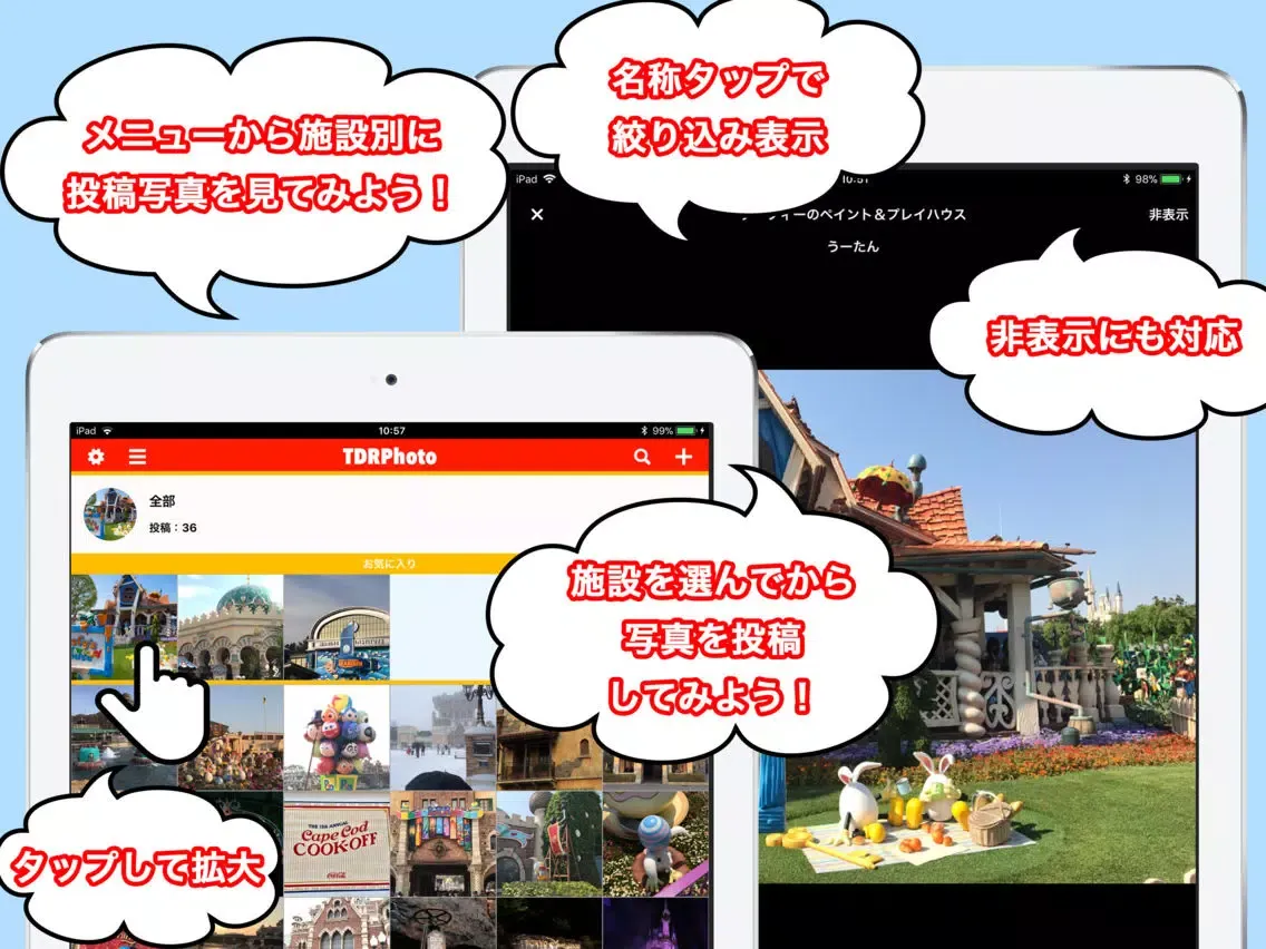 Ảnh chụp màn hình của TDR's Photo iPad 