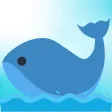 Whale Sleep Whale Sleep
