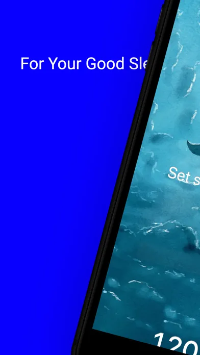 Screenshot di Whale Sleep