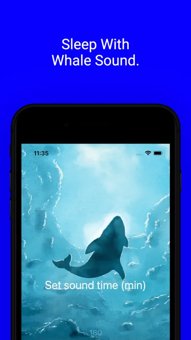 Screenshot di Whale Sleep