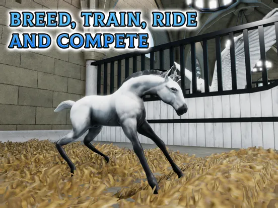 Tangkapan skrin Horse Academy: Ride & Compete iPad 