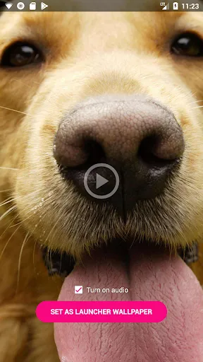 Video Live Wallpaper Maker Screenshots