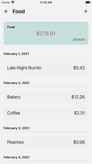 Tangkapan layar Budget: Master Your Finances