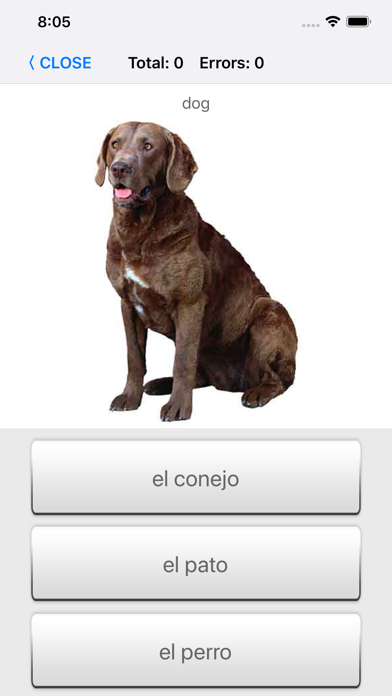 Capturas de tela do Learn Spanish words with ST