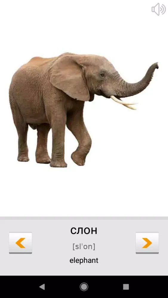 Learn Russian words with ST Screenshots