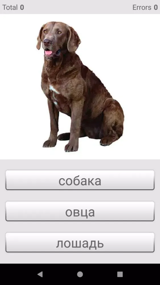 Learn Russian words with ST Screenshots