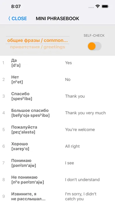 Learn Russian words with ST Screenshots