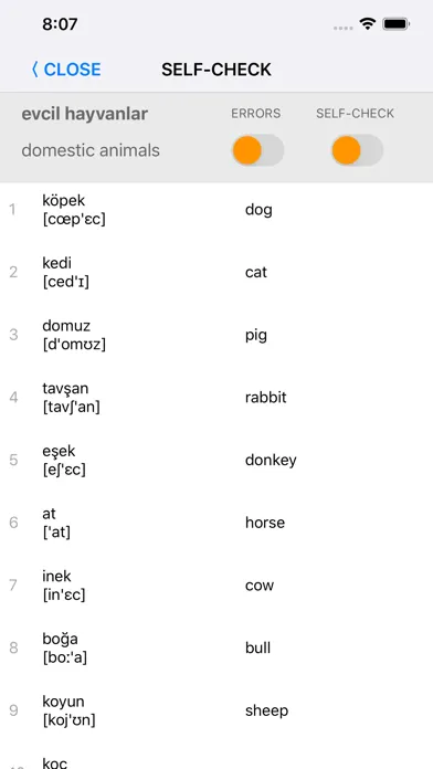 Tangkapan layar Learn Turkish words with ST