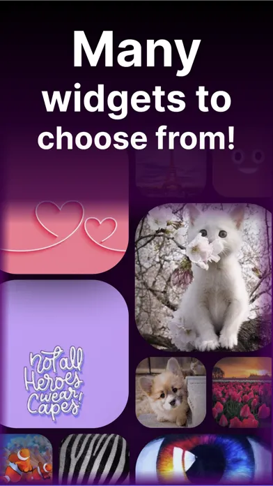 Create Widgets for Home Screen Screenshots