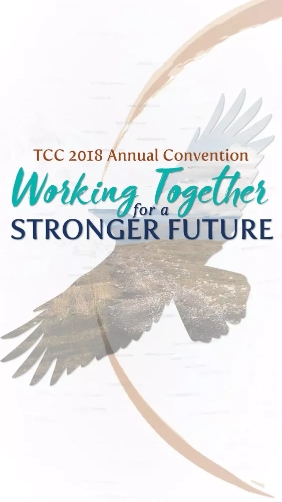 Ảnh chụp màn hình của TCC 2018
