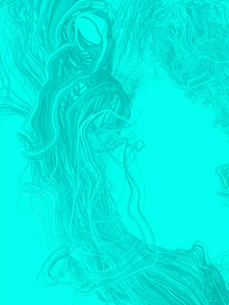 Culture is King VK2017 iPad  Screenshots