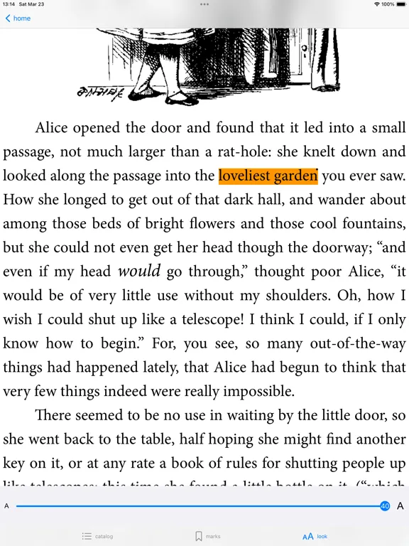 BookThoughts iPad  스크린샷