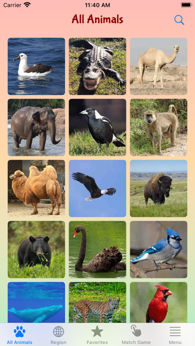 Fun With Animal Sounds应用截图