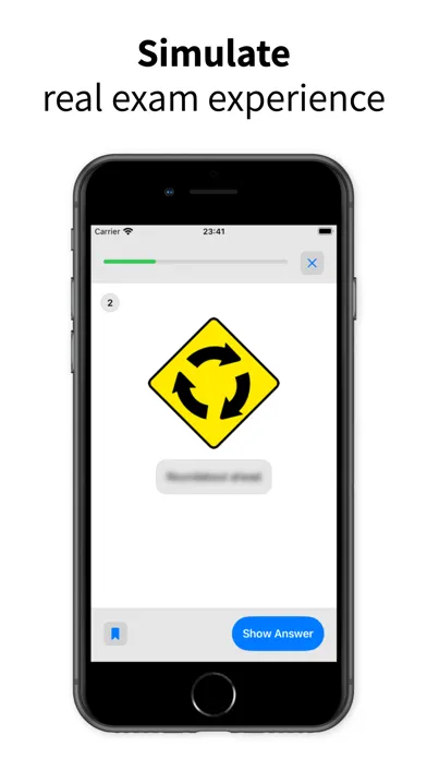 صور Ace Driving Irish Driving Test