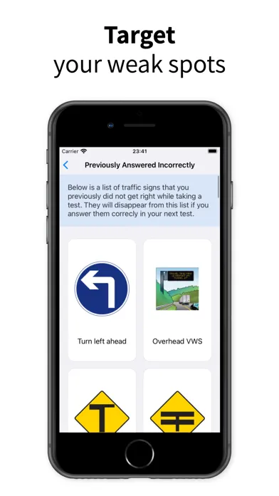 صور Ace Driving Irish Driving Test