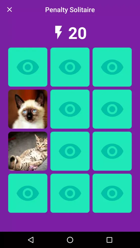 Pairs Screenshots